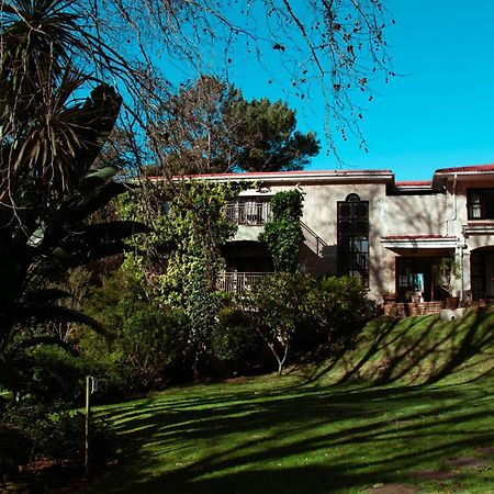 Southern Light Country House Cape Town Bagian luar foto