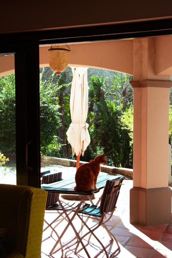 Southern Light Country House Cape Town Bagian luar foto