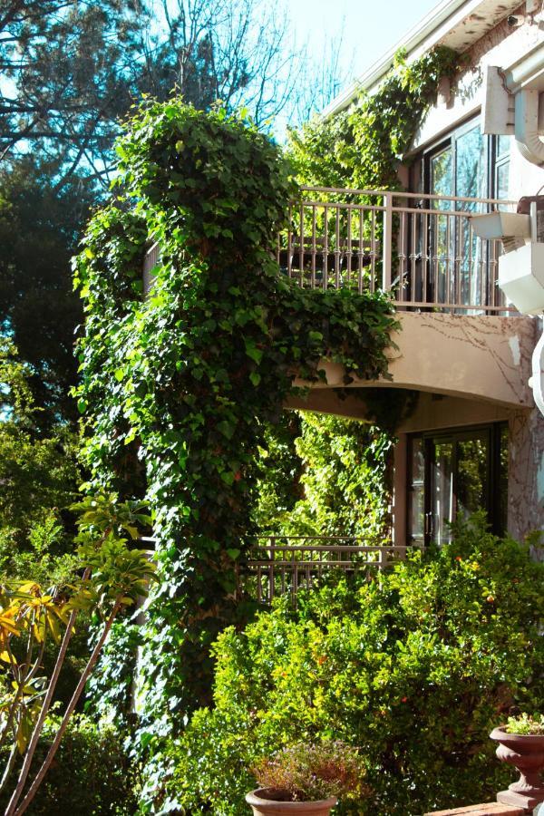 Southern Light Country House Cape Town Bagian luar foto