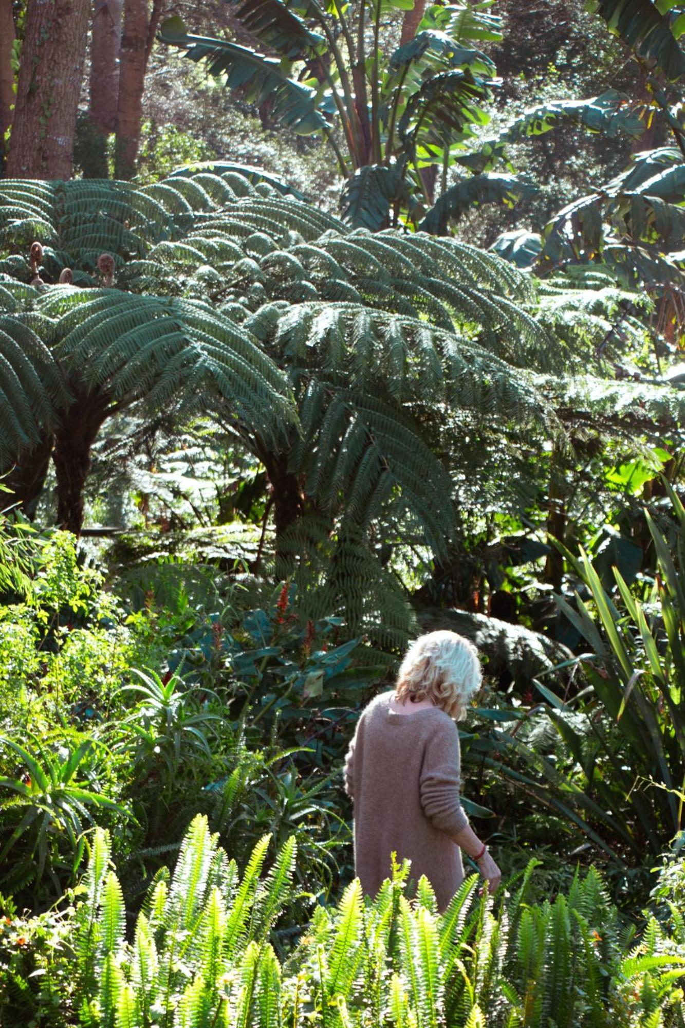 Southern Light Country House Cape Town Bagian luar foto