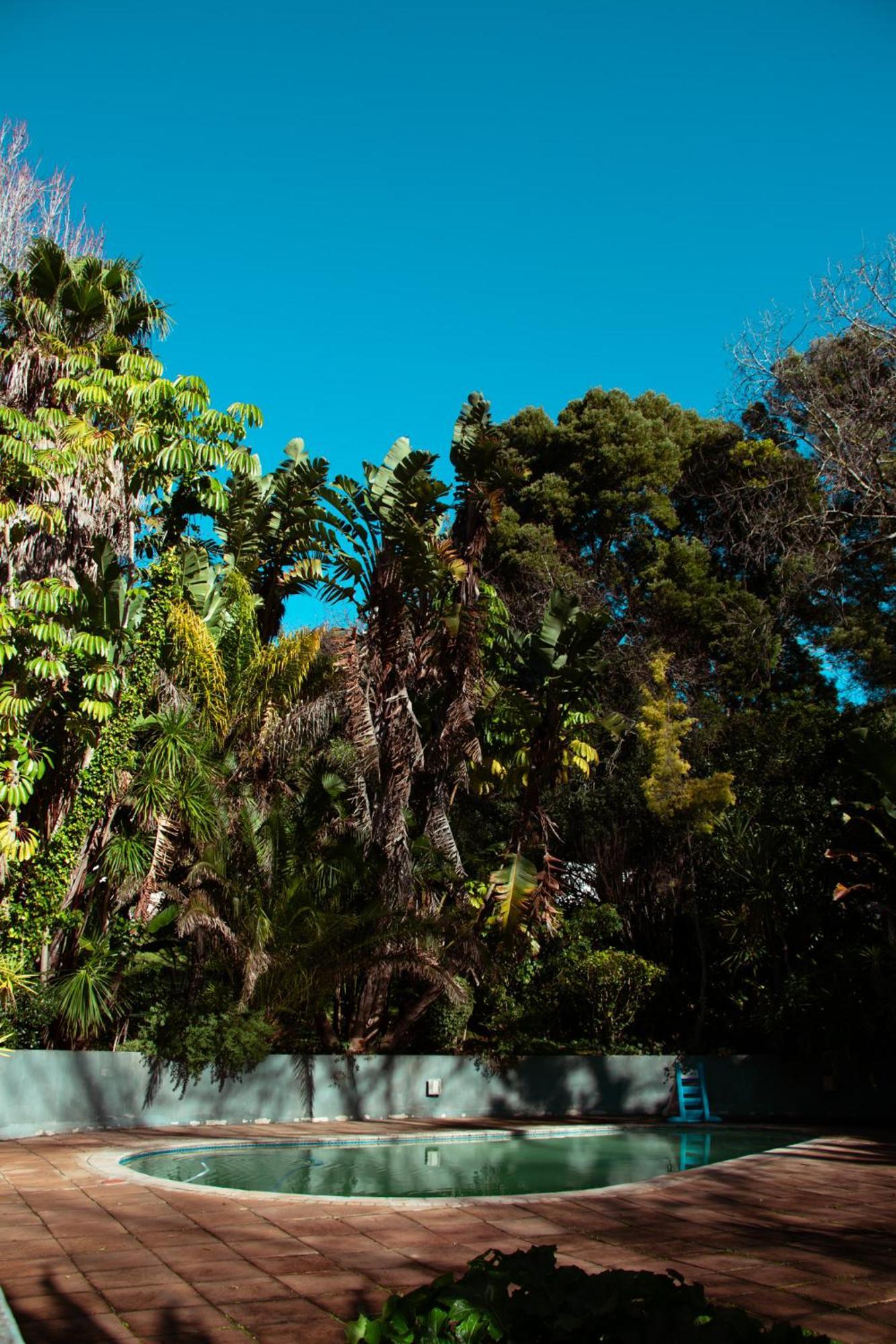 Southern Light Country House Cape Town Bagian luar foto
