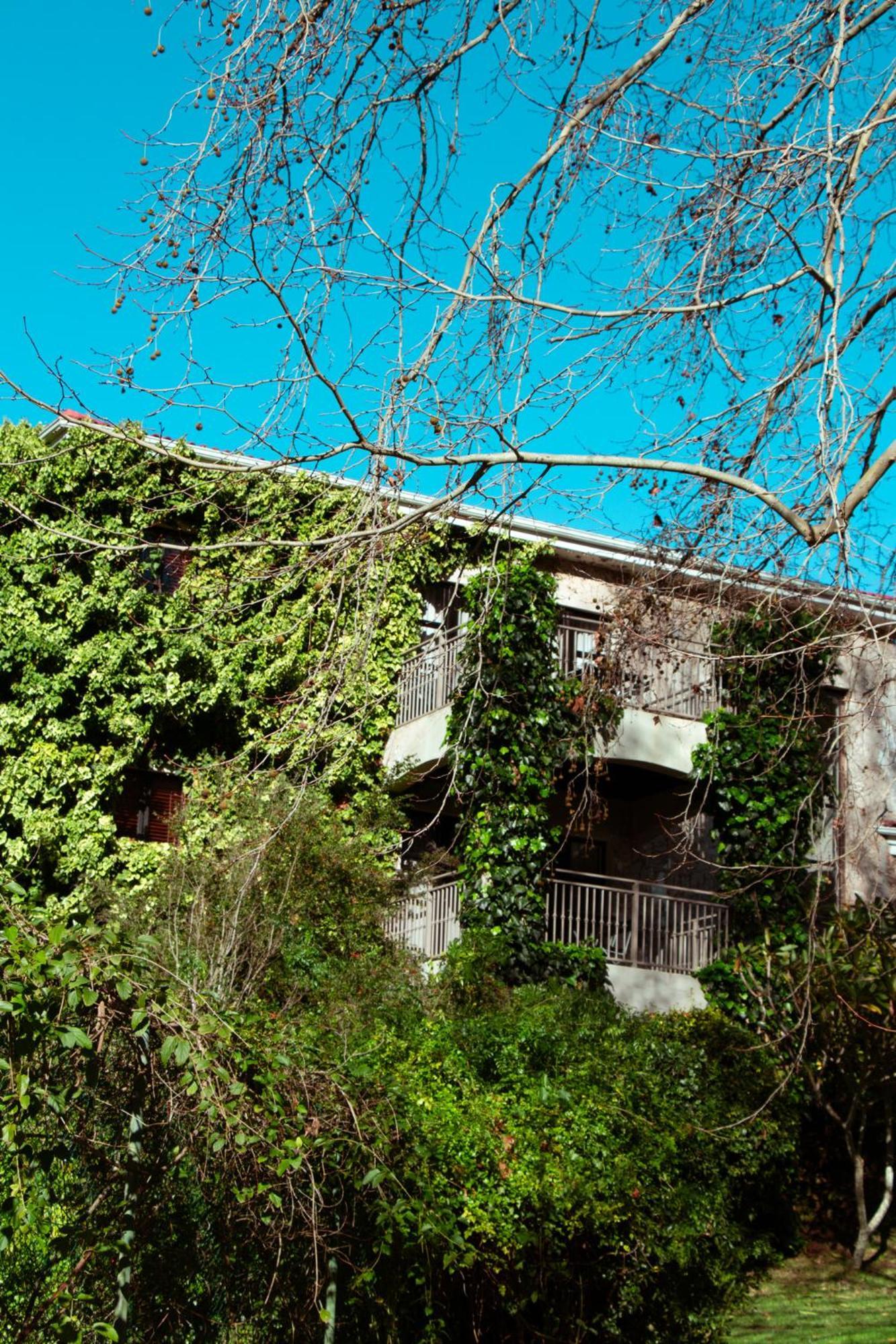 Southern Light Country House Cape Town Bagian luar foto