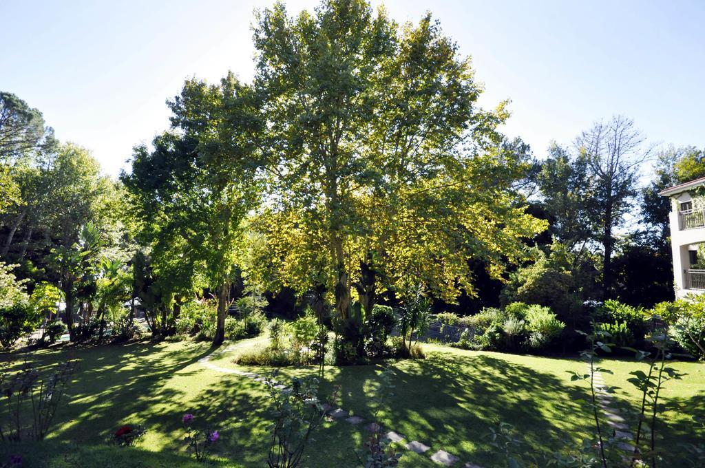 Southern Light Country House Cape Town Bagian luar foto