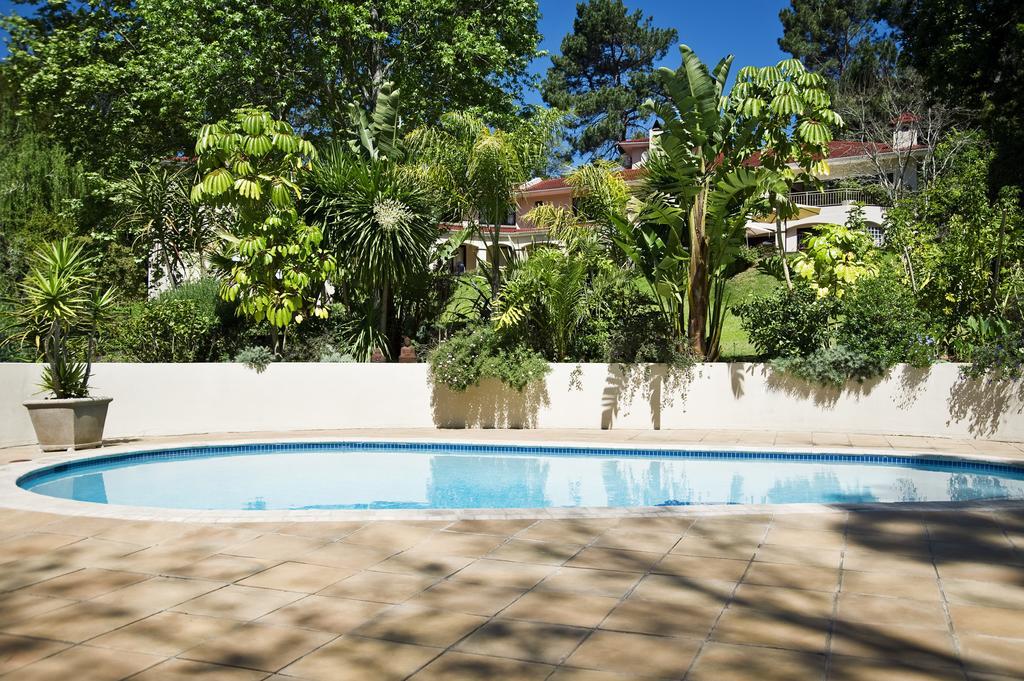 Southern Light Country House Cape Town Bagian luar foto